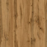 Roble de los Apalaches